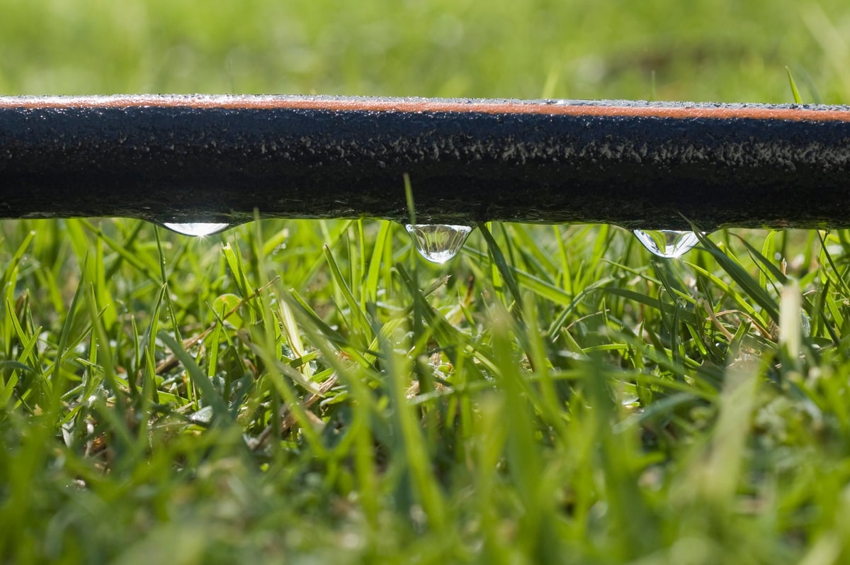 Soaker hose watering garden beds efficiently