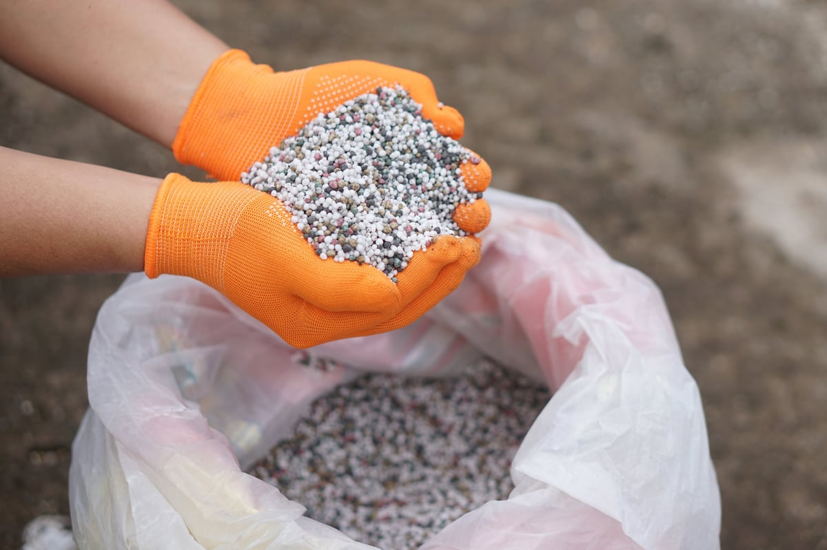 Close up of fertilizer granules in hand for garden use