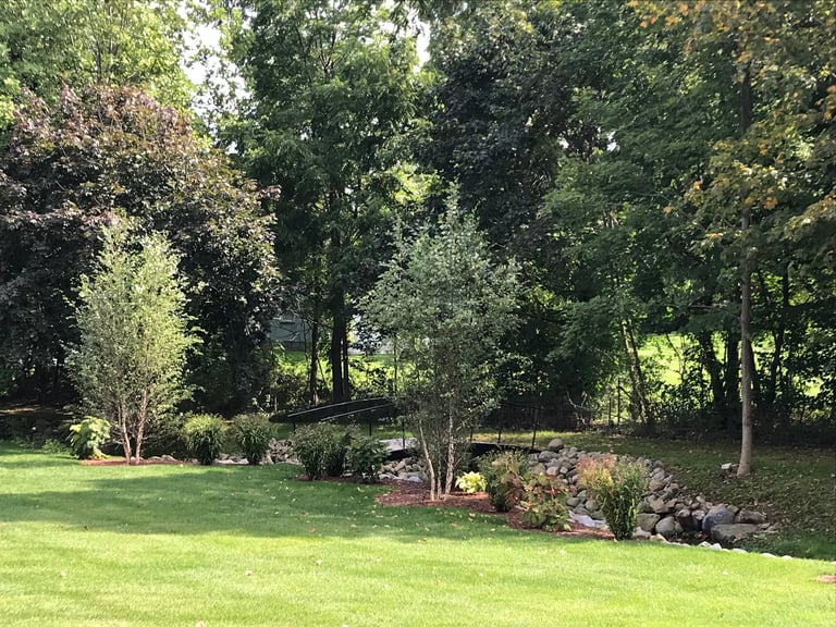 Spacious backyard with manicured lawn, ornamental trees, and flowering shrub beds lining a stone wall in dappled sunlight
