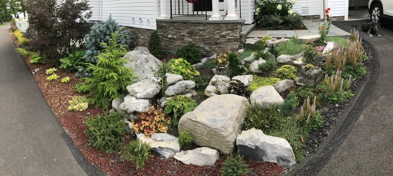 Landscaped front yard with large boulders, green plants, and red mulch bordering a residential house and driveway