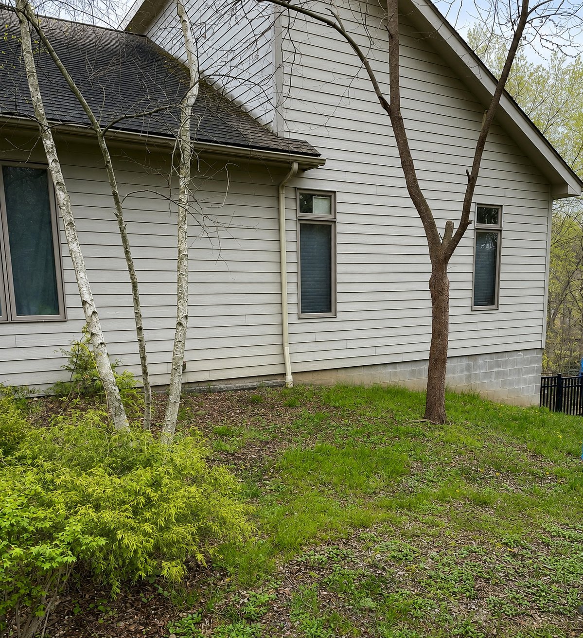 White vinyl-sided house with dark windows and doors surrounded by birch and brown trees, green lawn, and mulched garden beds
