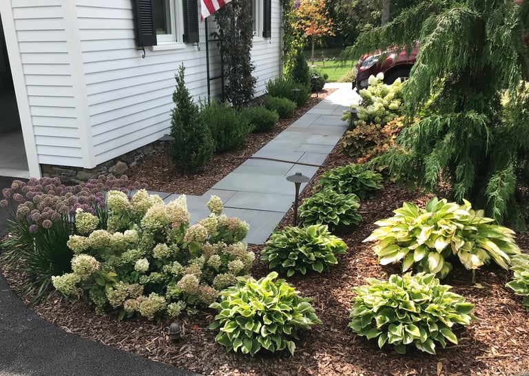 Modern home entrance with landscaped garden featuring hydrangeas, hostas, shrubs, stone pathway, and mulch beds