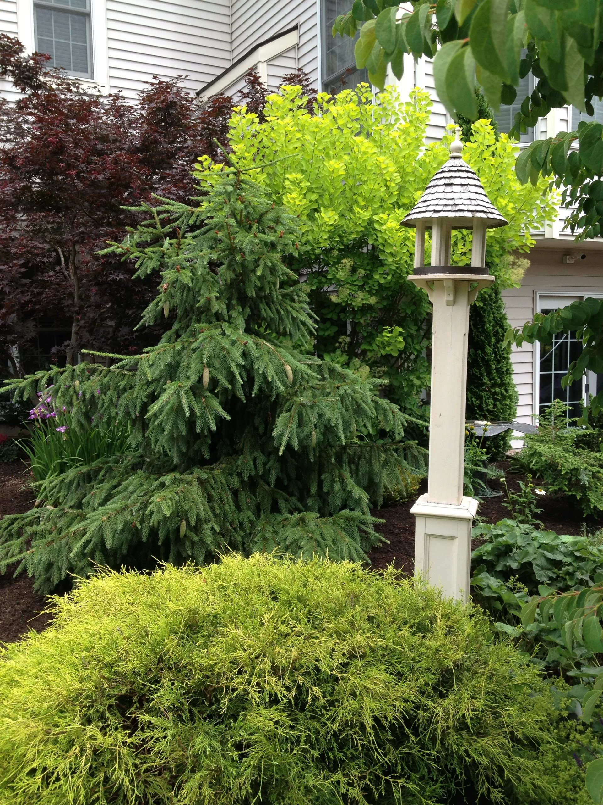 Residential garden with white birdhouse post surrounded by bright chartreuse and deep green shrubs against a house with white siding