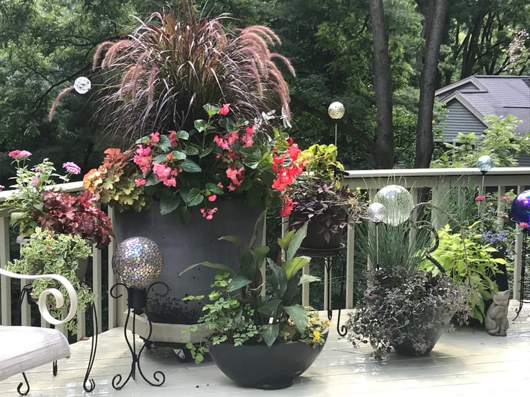 A large decorative planter overflowing with pink and red flowers, cordyline, and trailing plants on a deck surrounded by other potted flowers and greenery