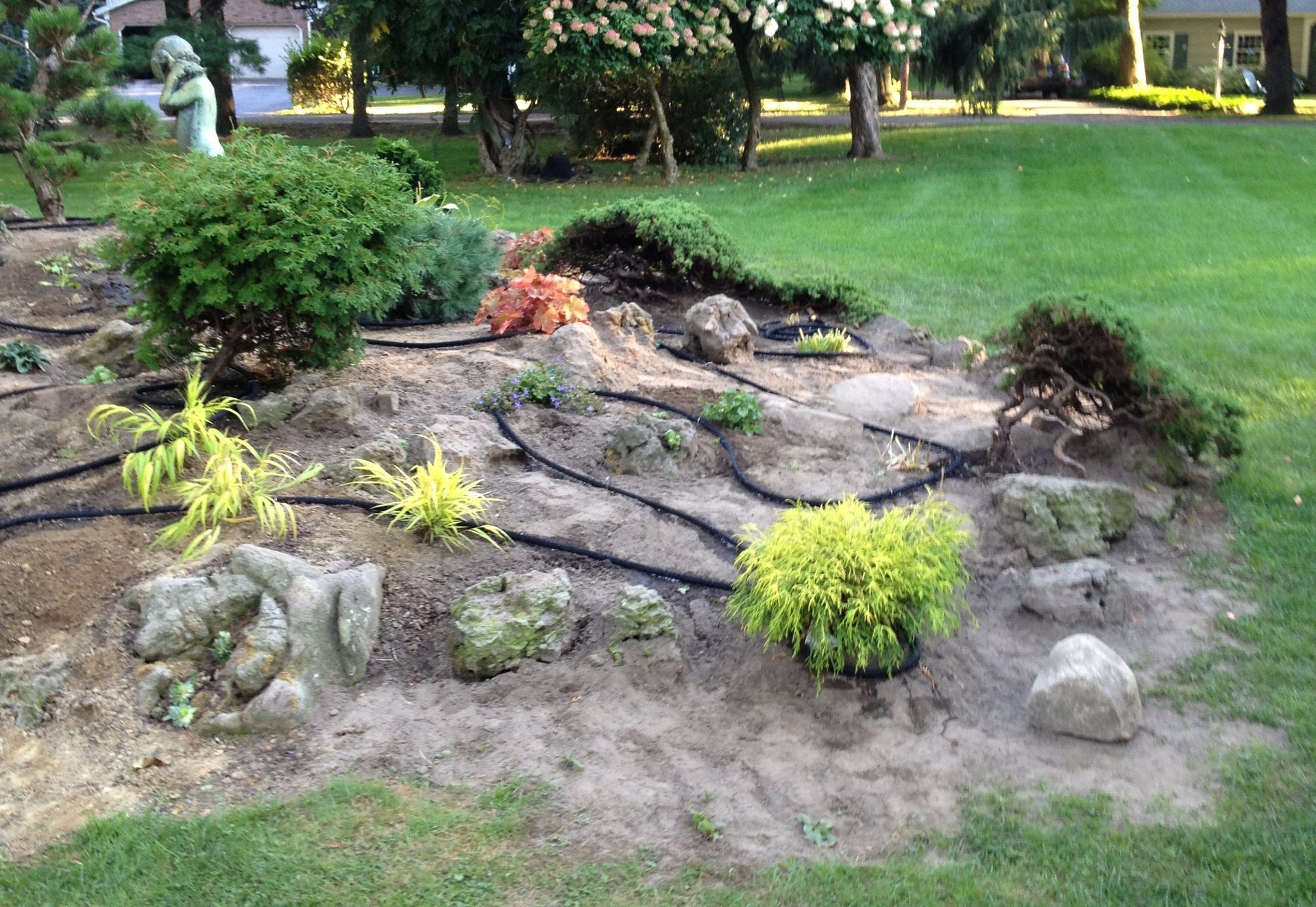 Landscaped rock garden with layered stones, ornamental grasses, and shrubs in a suburban yard with green lawn