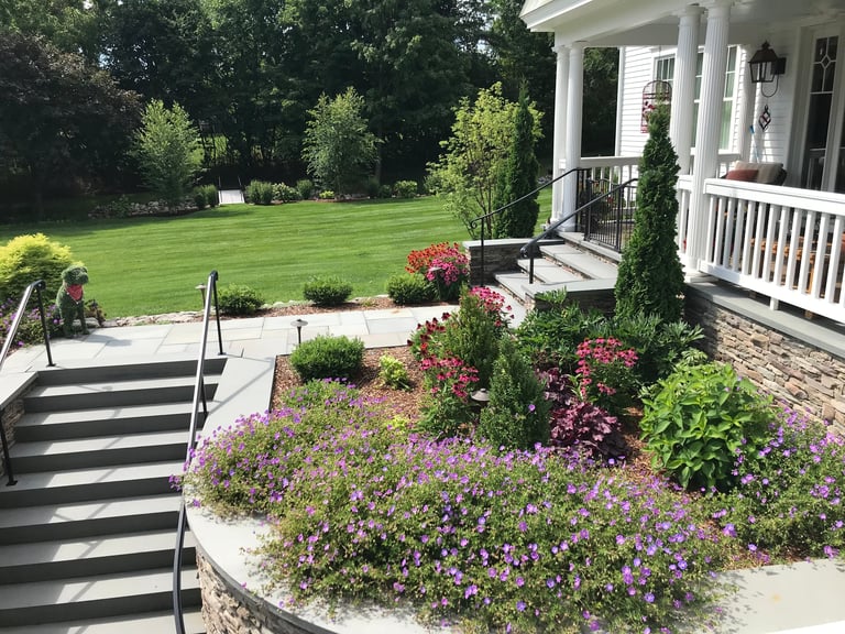 White colonial house with front porch, surrounded by purple flowering shrubs, stone steps leading to landscaped yard with manicured lawn and trees in background