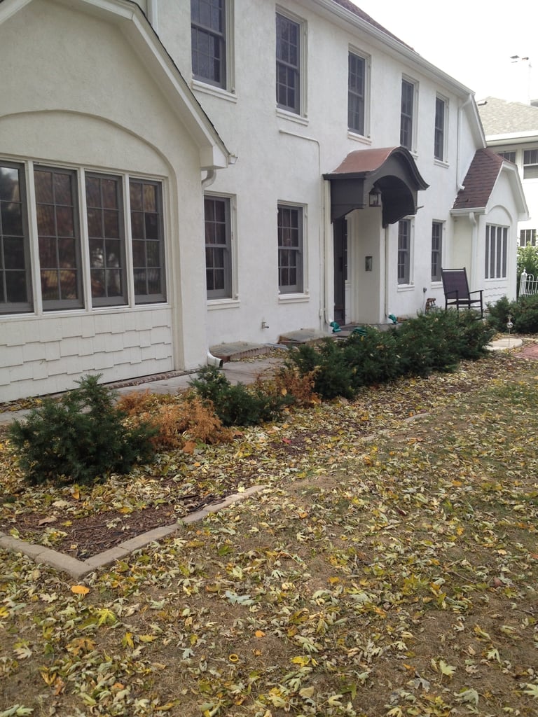 White farmhouse-style home with arched entryway, multiple windows, covered entry, and landscaped driveway with fallen leaves