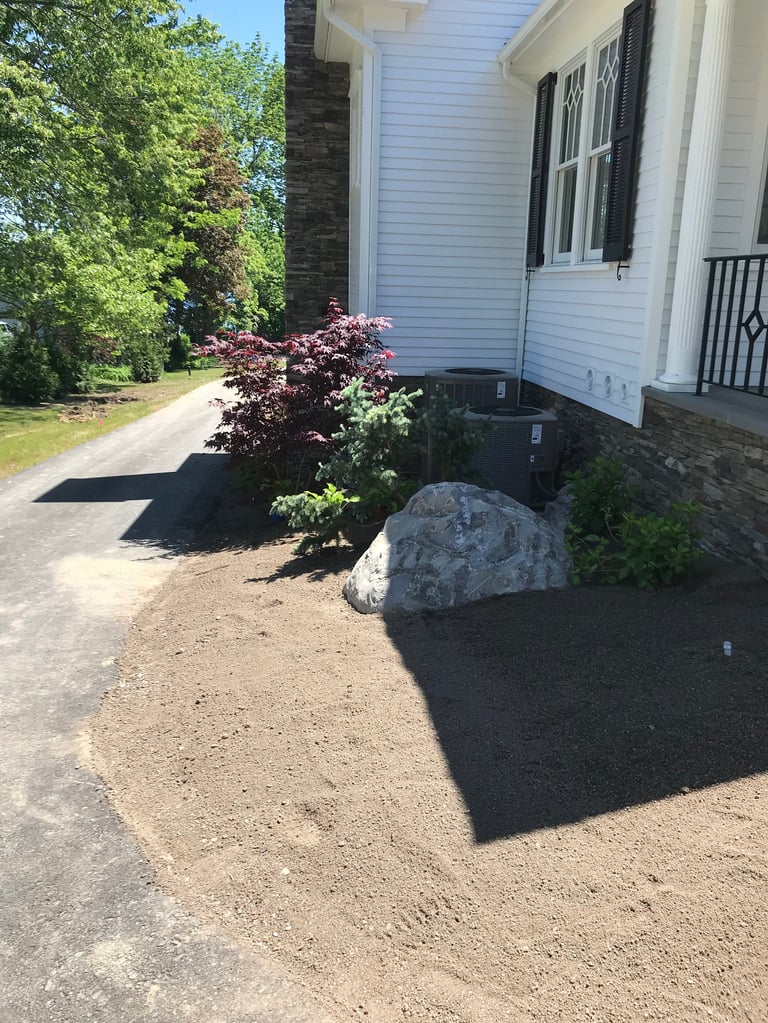 Front yard of white house with dark landscaping mulch, red-leafed shrub, large gray rock, and tree-lined driveway