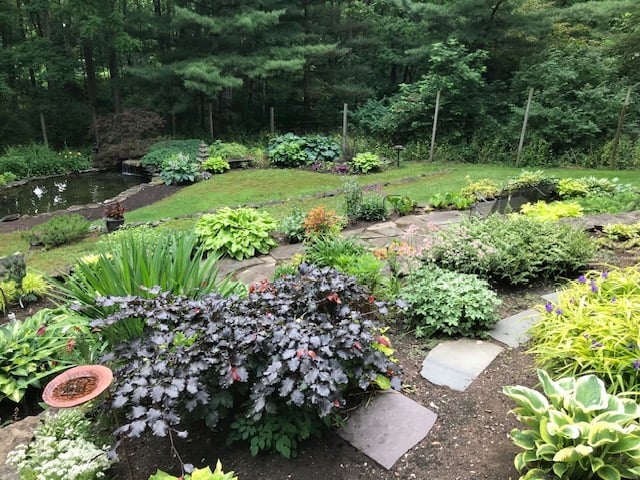 Lush garden bed with purple-leaved plants, hostas, and various perennials surrounded by trees and wooden raised beds