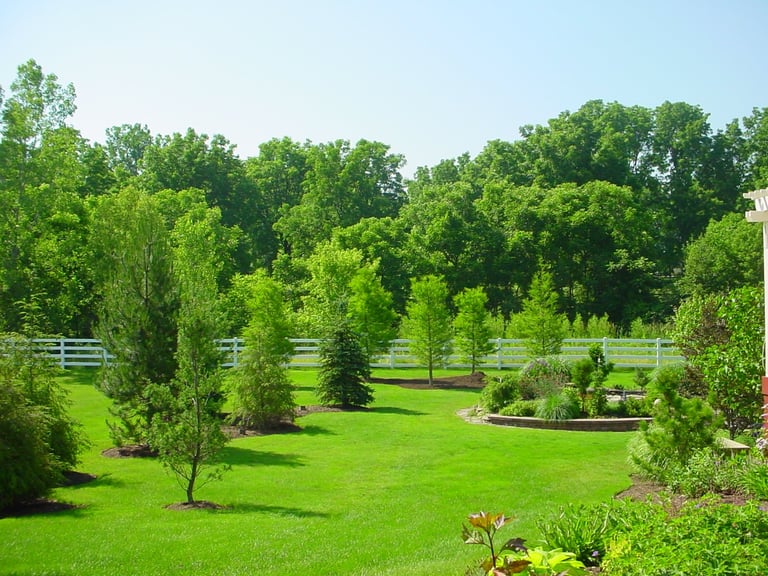 Lush green landscape with scattered trees, manicured lawn, white fence, and garden plantings under clear blue sky