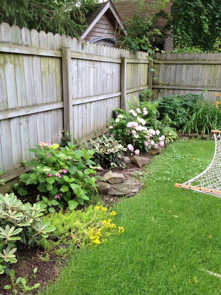 Backyard garden with weathered wooden fence, flowering shrubs with white and pink blooms, yellow flowers, green lawn, and cottage house visible in background