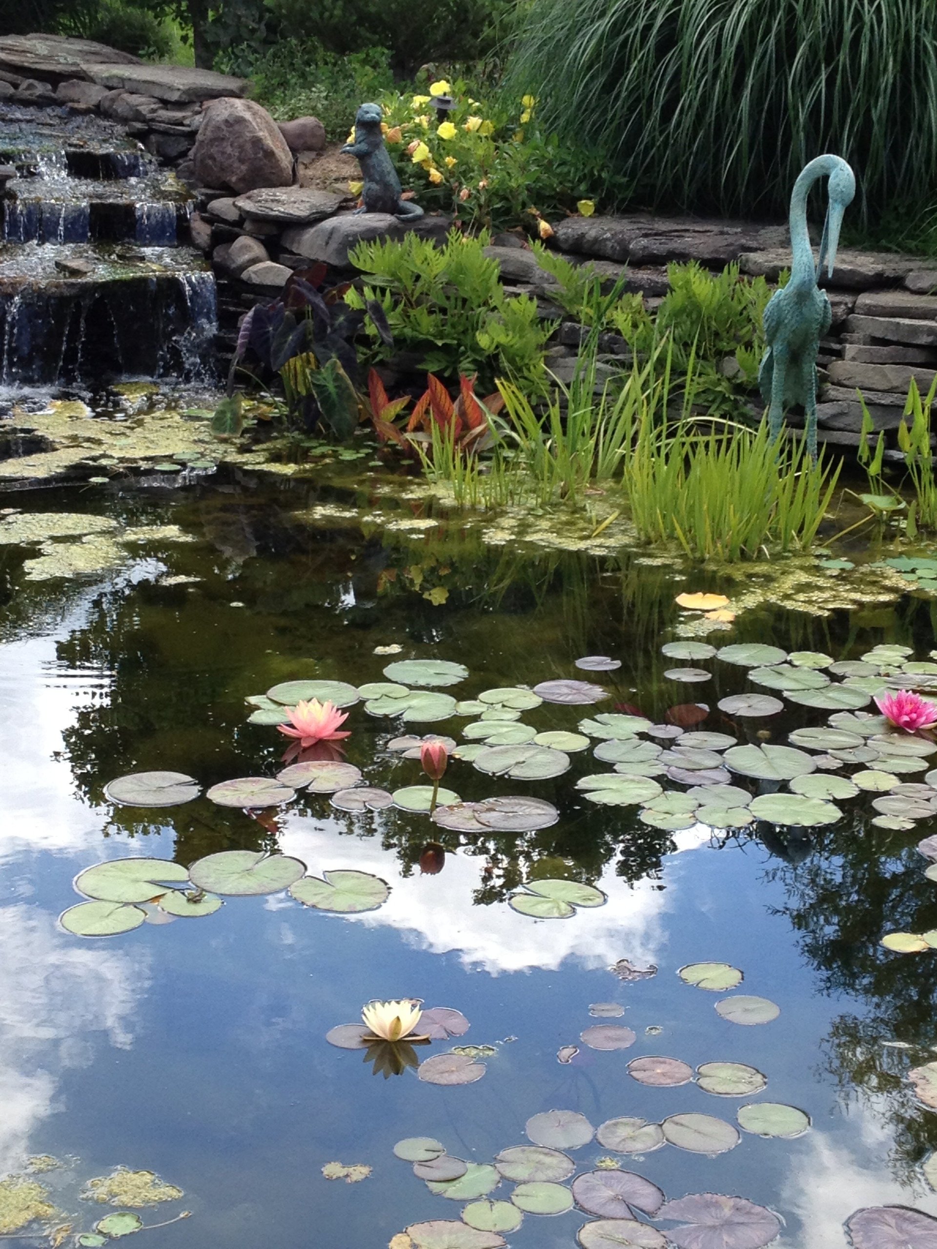 Garden pond with water lilies, aquatic plants, rocks, log edges, and a decorative teal heron statue reflected in still water