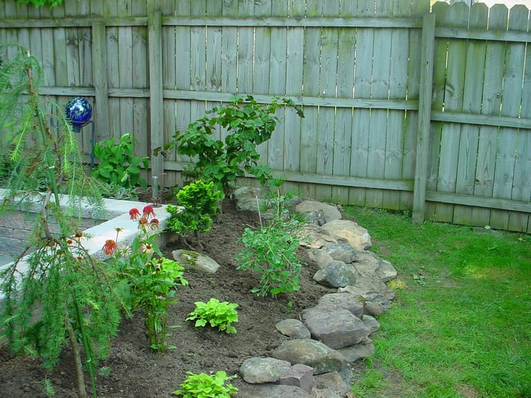 Backyard garden bed with green plants, rocks, and wooden fence in background