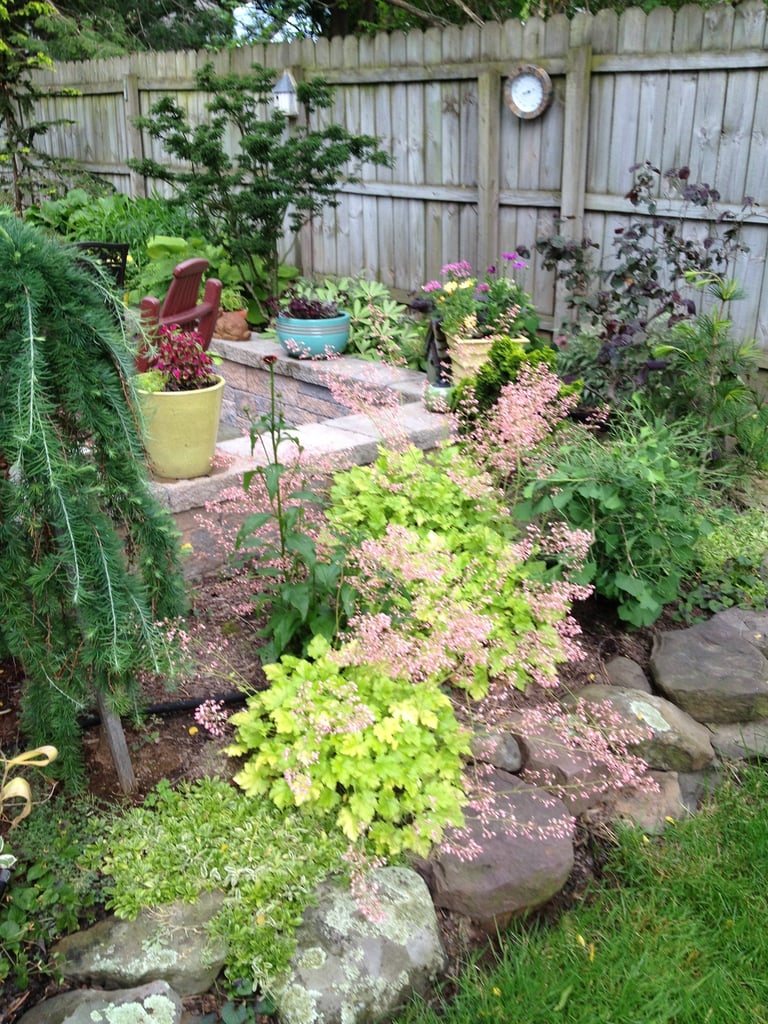 Backyard garden with stone pathway, colorful potted plants, flowering shrubs, and wooden fence with ivy